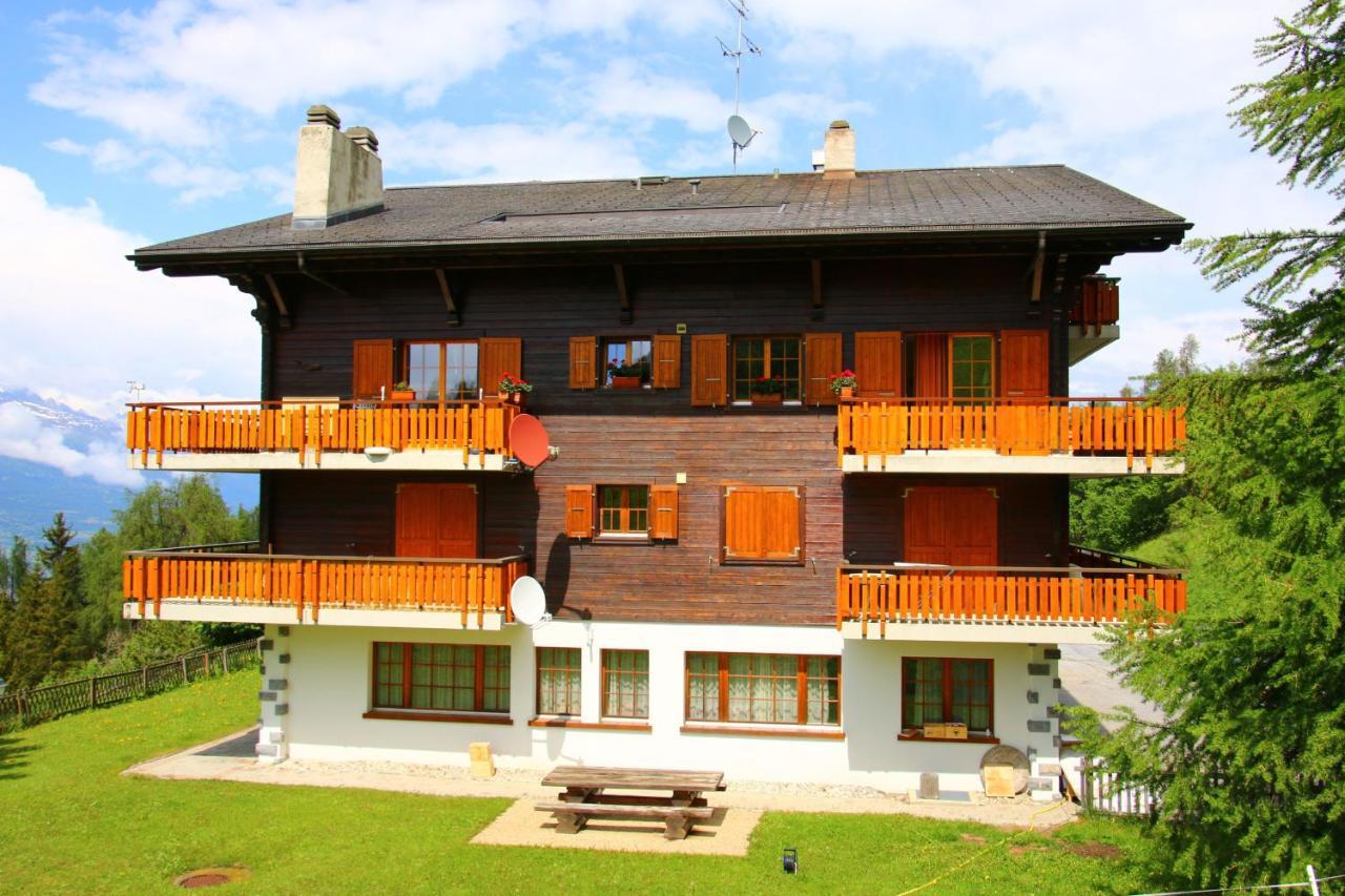 Mayens De L'Ours Mountain & Center Apartments By Alpvision Residences Agettes Exterior foto