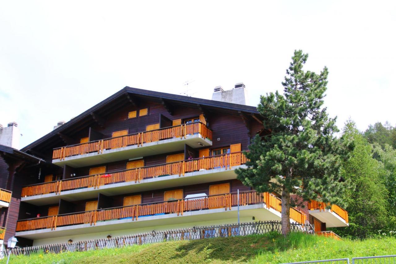 Mayens De L'Ours Mountain & Center Apartments By Alpvision Residences Agettes Exterior foto